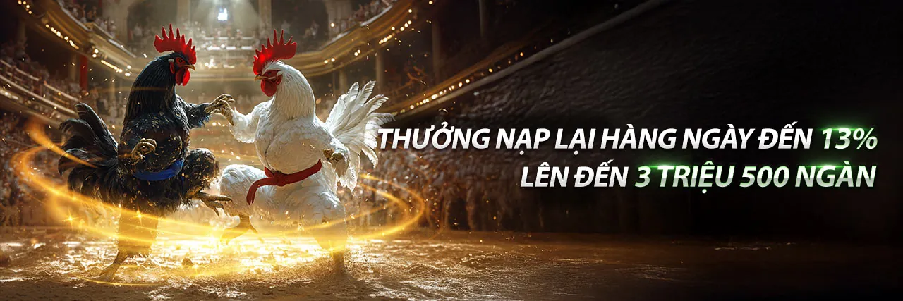 Đá Gà Thomo Trận 36 Ngày 8 Tháng 9
